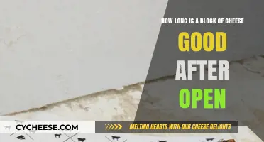 Cheese Blocks: How Long Do They Last?