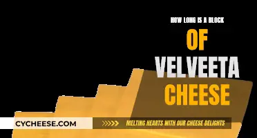 Velveeta Cheese Blocks: How Long Are They?