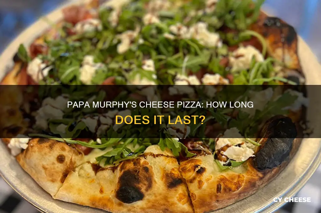 how long is a cheese papa murphy