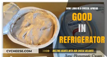 Cheese Spread: How Long Does it Last?
