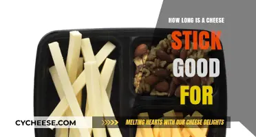 Cheese Sticks: How Long Do They Last?