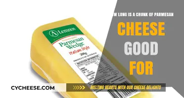 Parmesan Cheese Chunks: How Long Do They Last?