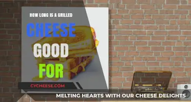 The Ultimate Guide to Grilled Cheese Shelf Life