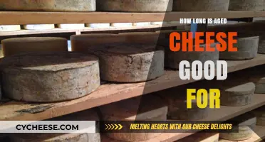 Aged Cheese Shelf Life: How Long Does It Stay Fresh?