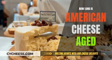 The Aging Process of American Cheese Explained