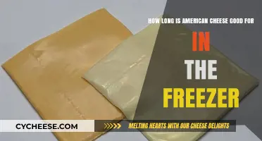 Freezing American Cheese: Shelf Life and Storage Tips Revealed