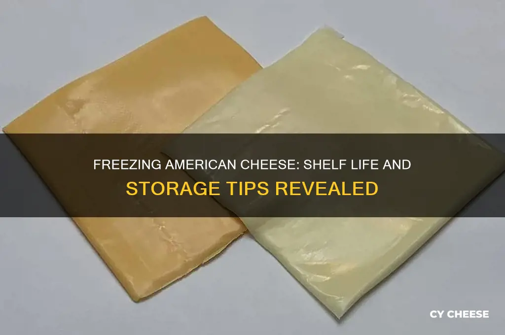 how long is american cheese good for in the freezer