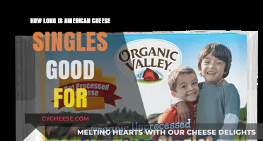 American Cheese Singles Shelf Life: How Long Do They Last?