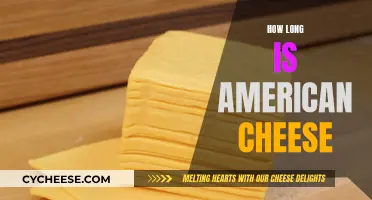 American Cheese: How Long Does It Last?