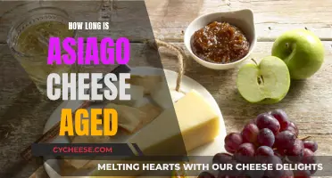 Aging Asiago: How Long for the Perfect Flavor?