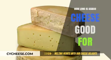 Asiago Cheese Shelf Life: How Long Does It Stay Fresh?