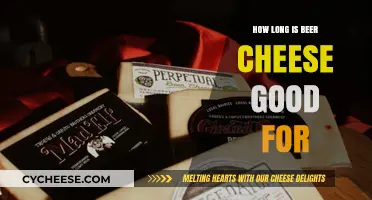 How Long Does Beer Cheese Last? Storage Tips & Shelf Life