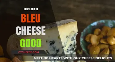 Bleu Cheese Shelf Life: How Long Does It Stay Good?