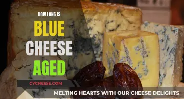 Aging Blue Cheese: How Long Does It Take?