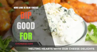 Blue Cheese Dip Shelf Life: How Long Does It Last?