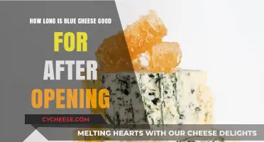 Blue Cheese Shelf Life: How Long Does It Last After Opening?