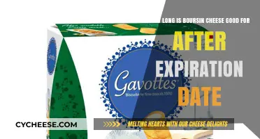 Boursin Cheese Shelf Life: How Long After Expiration is it Safe?