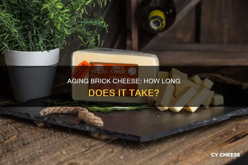 how long is brick cheese aged