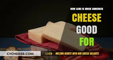 Brick Shredded Cheese Shelf Life: How Long Does It Last?