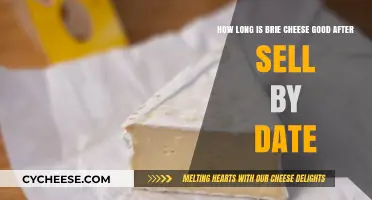 Brie Cheese Shelf Life: How Long After Sell-By Date is it Safe?
