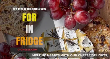 Brie Cheese Shelf Life: How Long Does It Last in the Fridge?