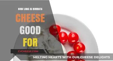 Burrata Cheese Shelf Life: How Long Does It Stay Fresh?