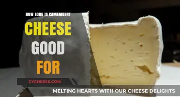Camembert Cheese Shelf Life: How Long Does It Stay Fresh?