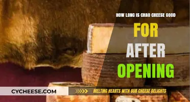 Chao Cheese Shelf Life: How Long Does It Last After Opening?