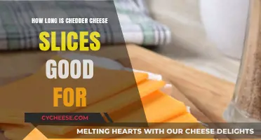 Cheddar Cheese Slices Shelf Life: How Long Do They Last?