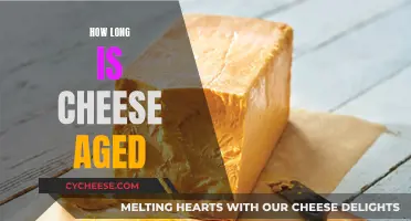 Cheese Aging: How Long Does it Take?