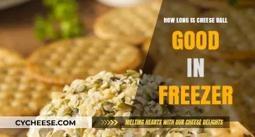 Cheese Ball Freezer Storage: How Long Does It Stay Fresh?