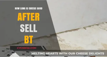 Cheese Shelf Life: How Long is it Good After Sell-By Date?
