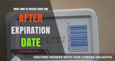 Cheese Expiration Dates: How Long is Cheese Good After?