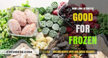 Freezing Cheese: How Long Does It Stay Fresh and Safe to Eat?