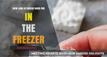 Freezing Cheese: How Long Does It Stay Fresh and Tasty?