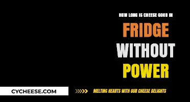 Cheese Shelf Life: How Long Does It Last in a Power Outage?