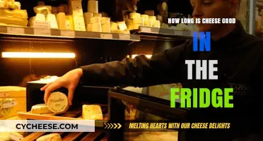Cheese Shelf Life: How Long Does Cheese Last in the Fridge?