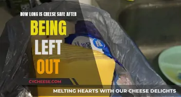 Cheese Safety: How Long Can You Leave It Out?