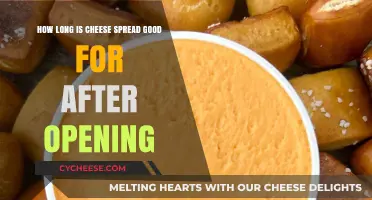 Cheese Spread Shelf Life: How Long Does It Last After Opening?