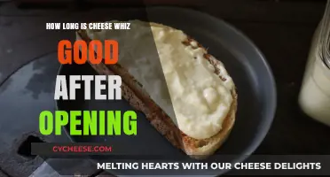 Cheese Whiz Shelf Life: How Long Does It Last After Opening?