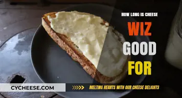 Cheese Whiz Shelf Life: How Long Does It Stay Fresh?