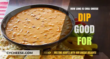 Chili Cheese Dip Shelf Life: How Long Does It Last?