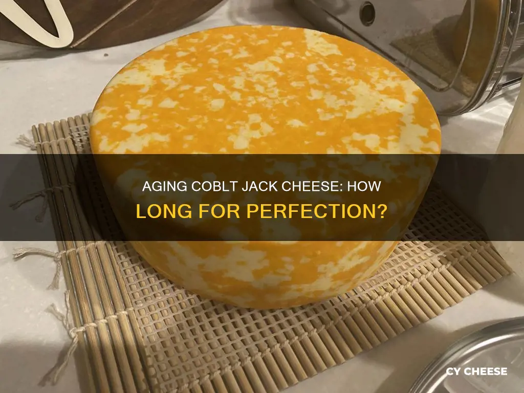 how long is colbt jack cheese aged