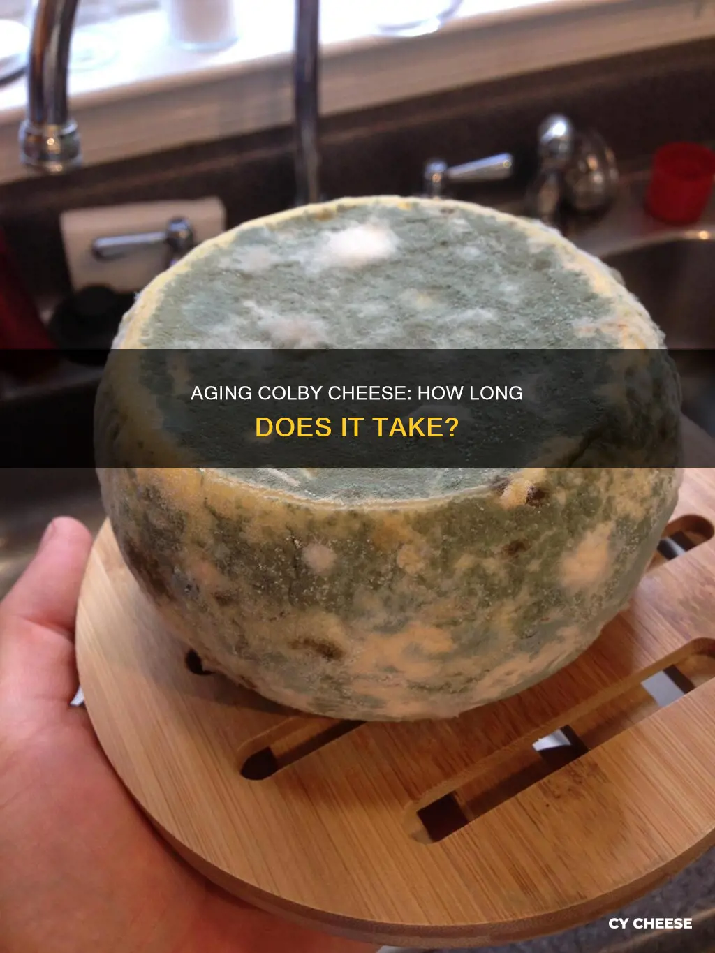 how long is colby cheese aged