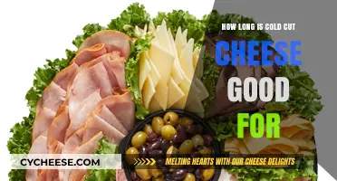 Cold Cut Cheese Shelf Life: How Long Does It Last?
