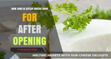 Cotija Cheese Shelf Life: How Long Does It Last After Opening?