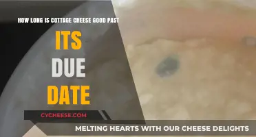 Cottage Cheese Shelf Life: How Long Past the Due Date is Safe?