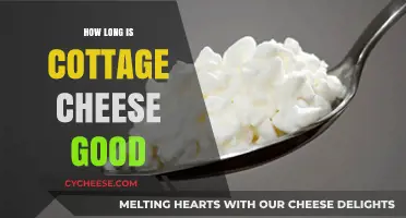 Cottage Cheese Shelf Life: How Long Does It Stay Fresh?