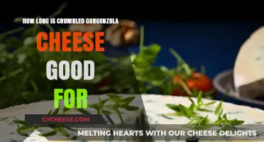 Crumble and Store: Gorgonzola Cheese Shelf Life Explained