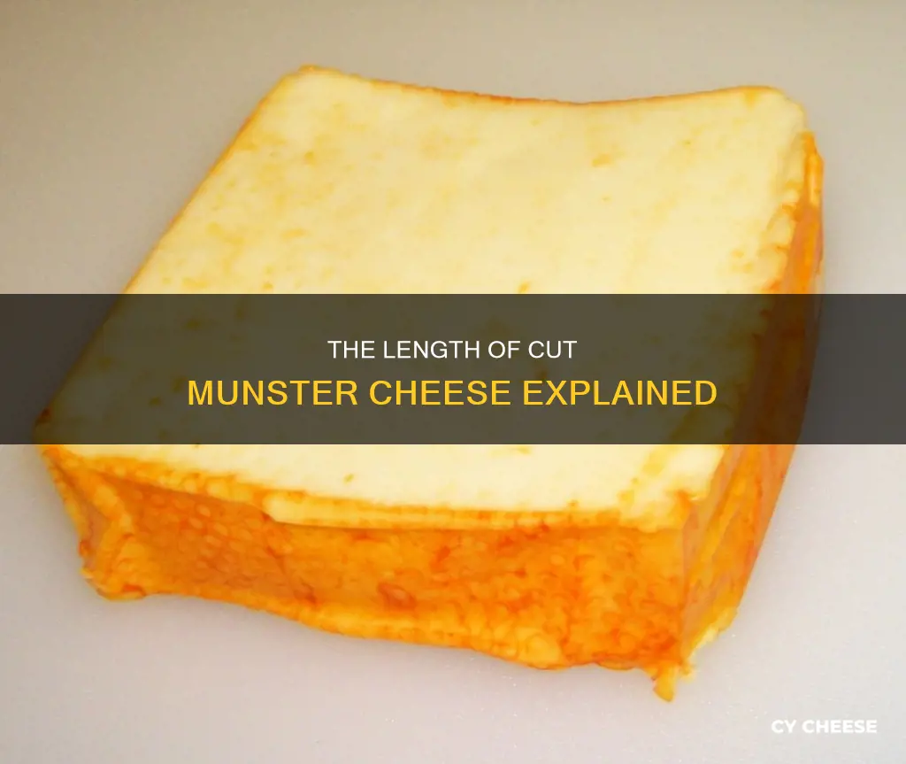 how long is cut munster cheese